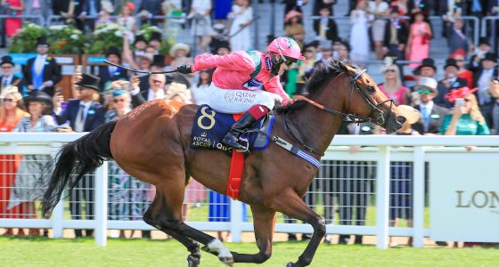 Oxted wins the King's Stand Stakes at Royal Ascot