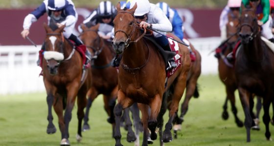 Suesa declared for the Nunthorpe Stakes